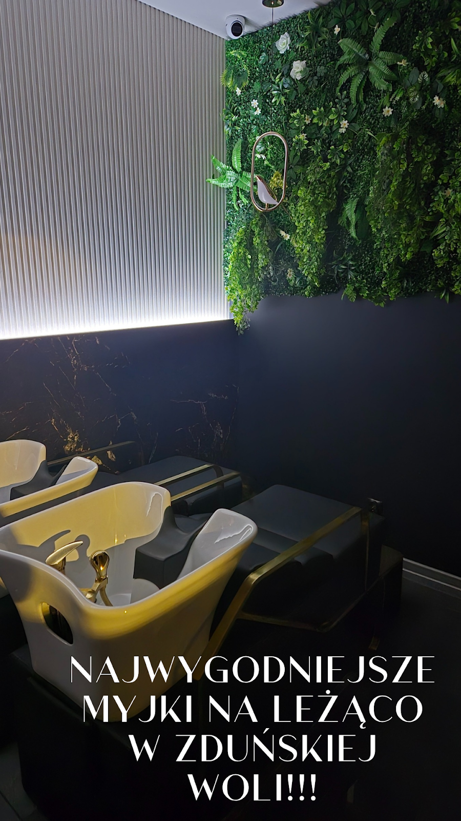 Atmosfera salonu